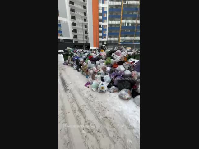 Состояние мусорок после Нового года