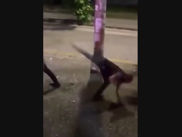 Бабочка пролетела мимо