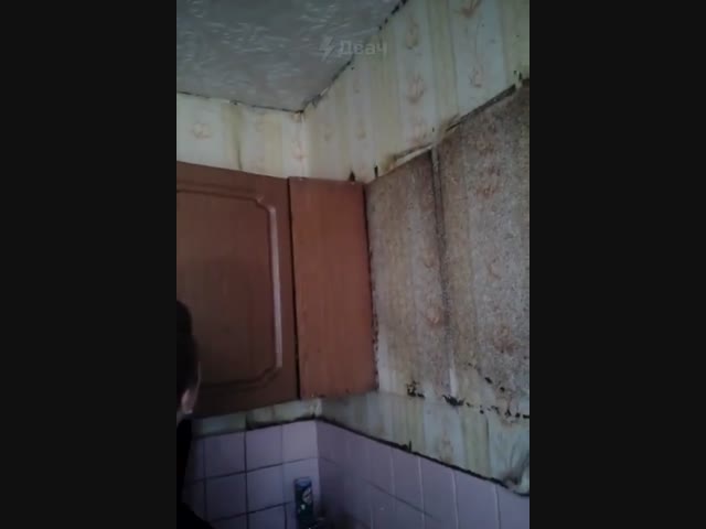 Не для слабонервных: не самые приятные соседи