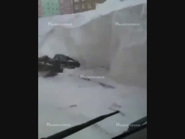 Российские подснежники