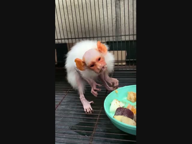 Кто ты такой ?