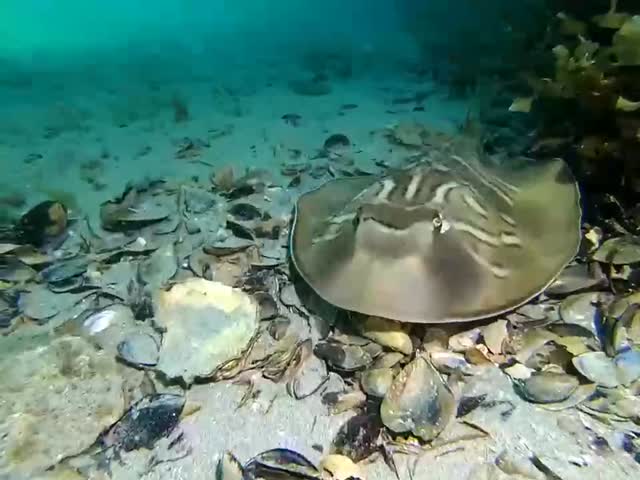 Добрые люди