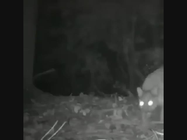 Это что новое