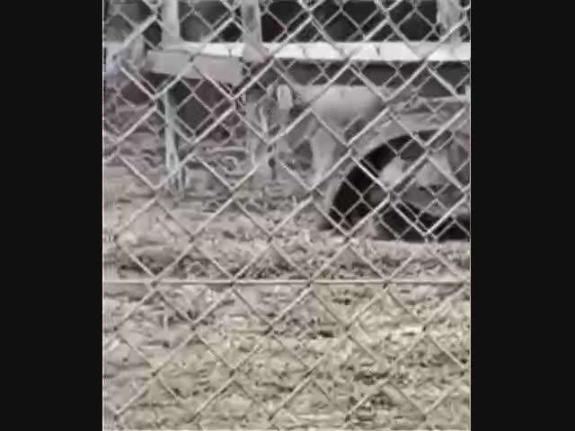 Испортил видео-съёмку