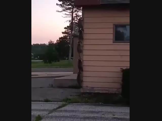 Незаконное проникновение в дом