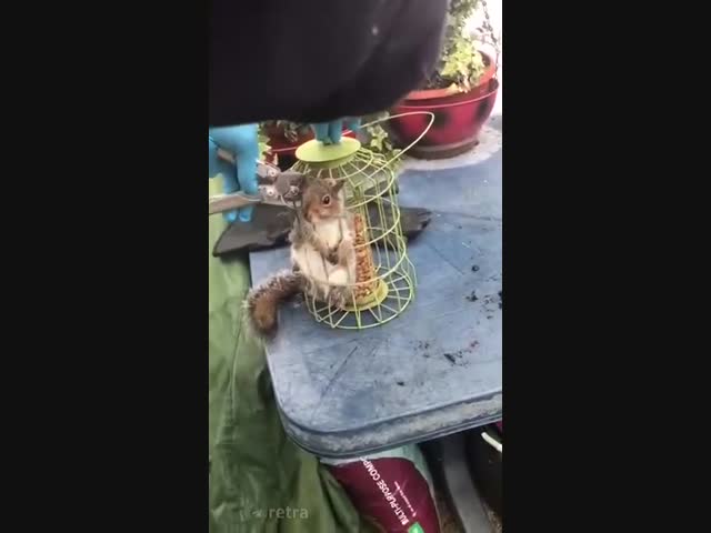 Спасения рядового Белкина