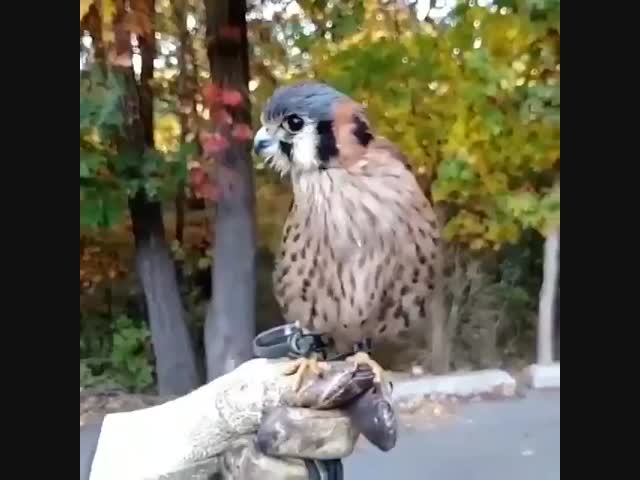 Стабилизация