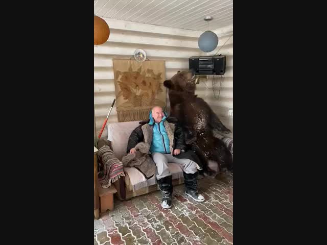 Медведь и большой чупа чупс