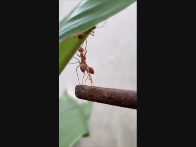 Пацаны вы меня забыли