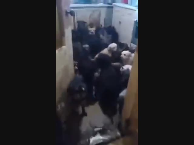 Иногда доброта бывает хуже воровства