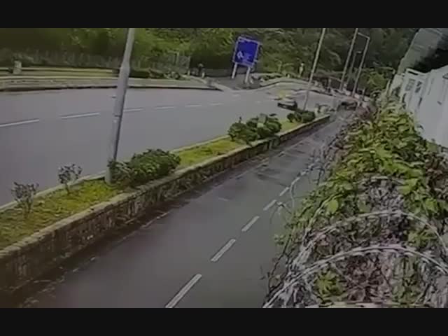 Главное выжили