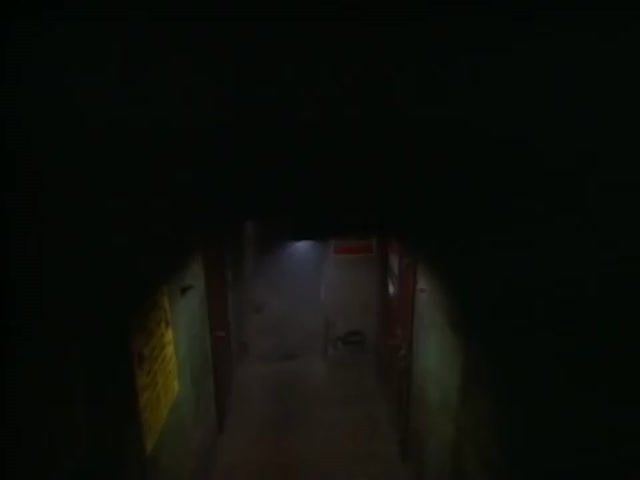 Survivor - Burning Heart