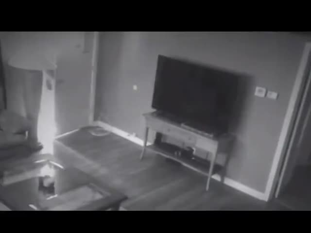 Бойцовская собака VS грабитель