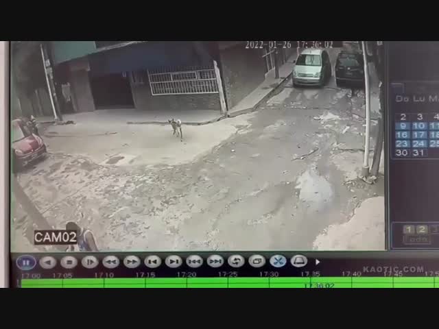 Лучше ехали бы себе дальше..