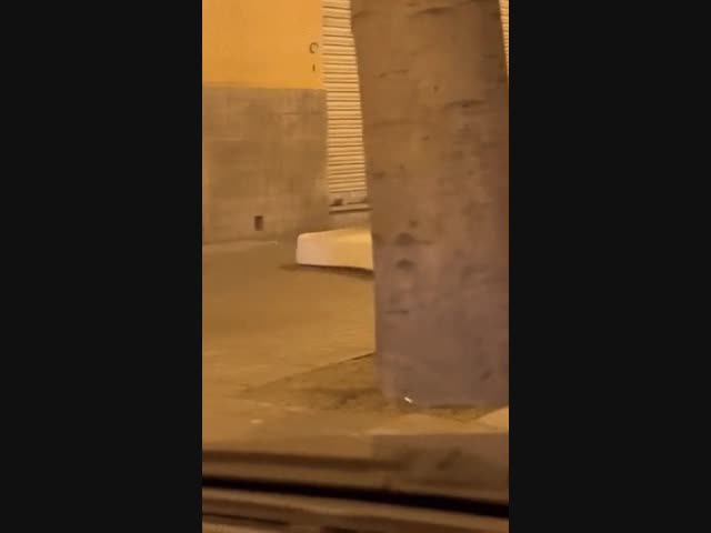 Алладин и его ковёр-самолёт