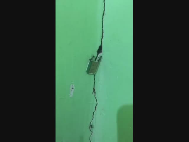 Как думаете, куда они будут звонить?