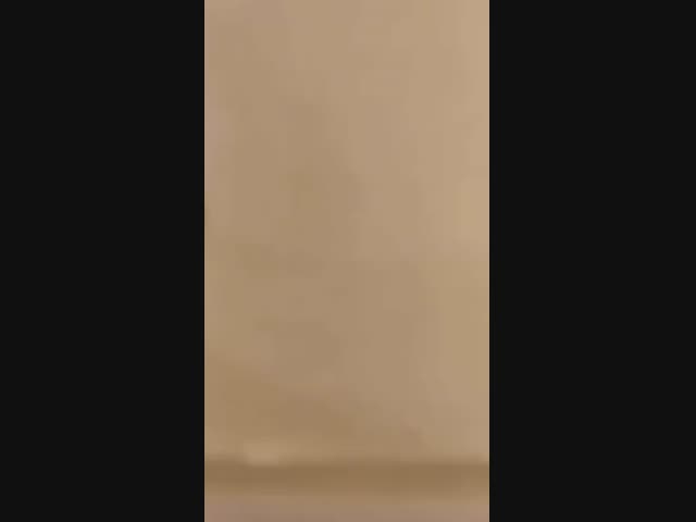 Испортила отдых