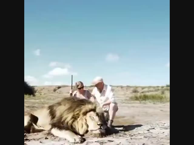 Месть Царя Зверей