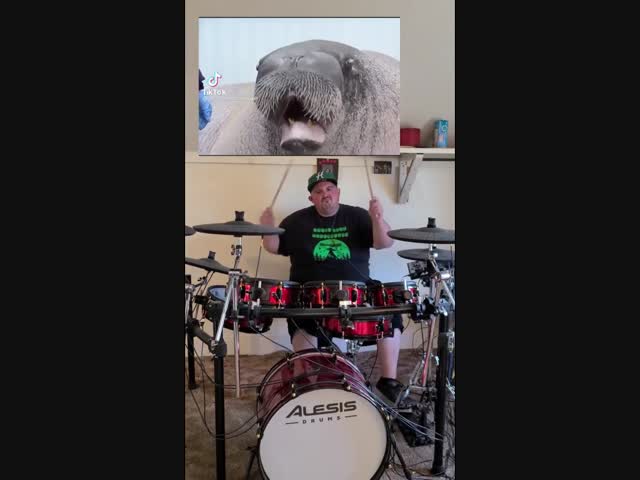 Талантливый дуэт