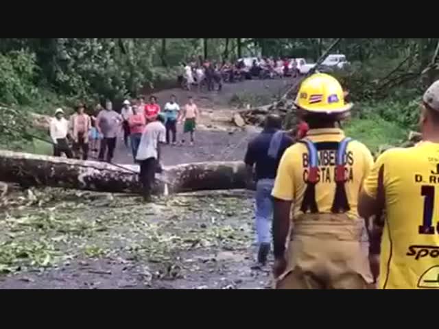 На этот раз повезло