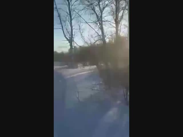 Честный охотник