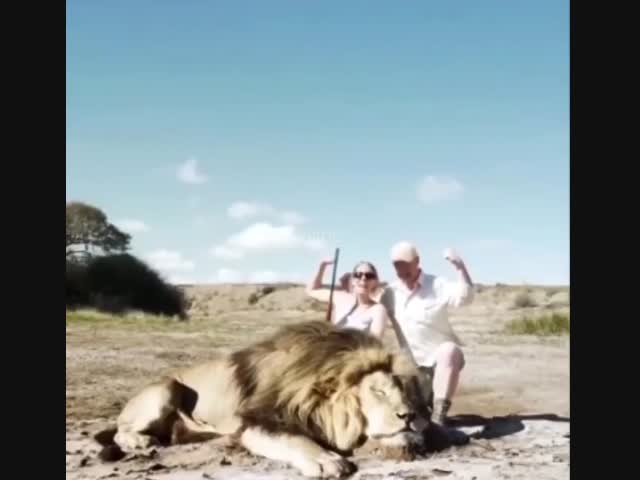 Смеется тот, кто смеется последний