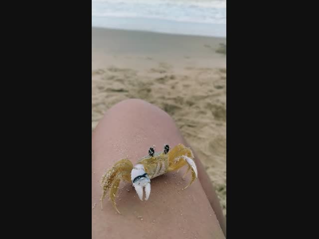 Хорошие дворники