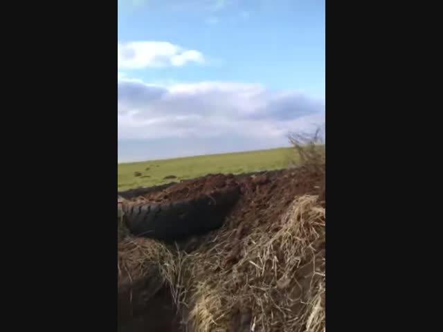 Неудачный выстрел