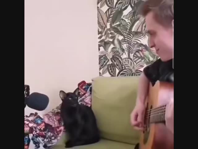 Музыкальная пауза