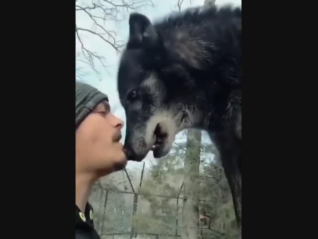 Мужской разговор