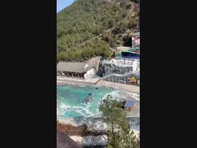 Гигантские качели