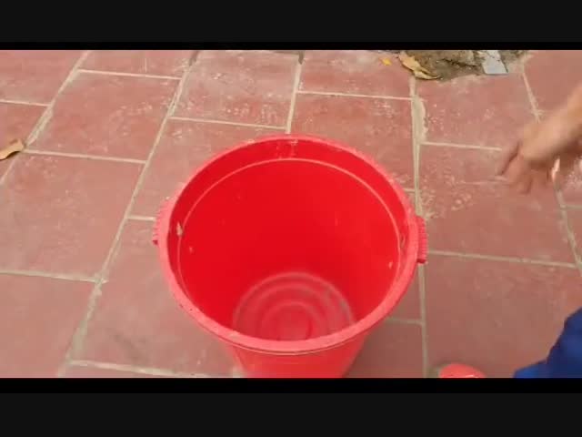 Ловушка для крыс