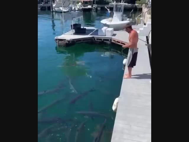 -Сходи на рыбалку, успокой нервы...