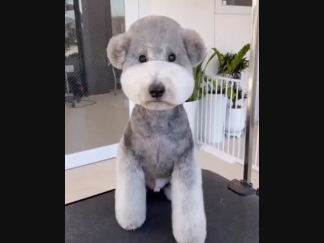 Как игрушка