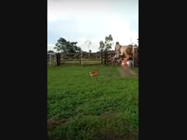 Вот это мощь!