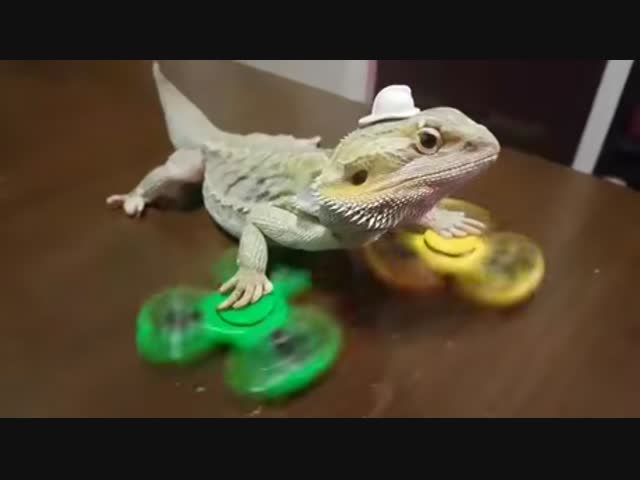 Весёлый дракоша