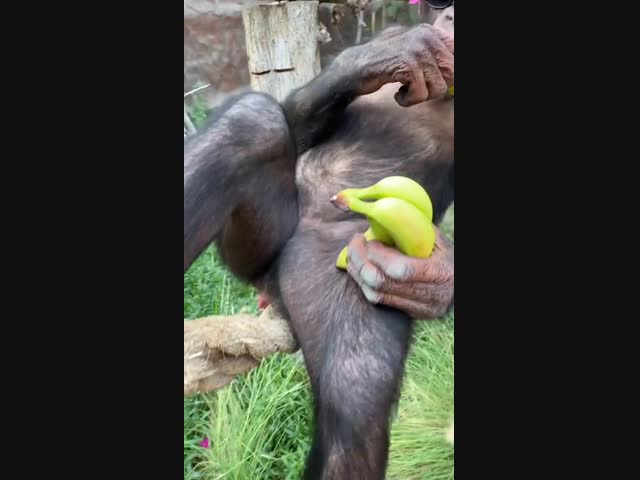 Что такое счастье