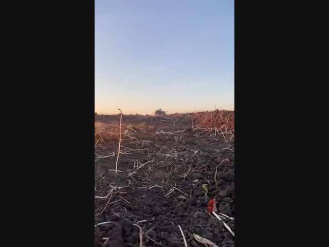 Где-то в полях Намибии