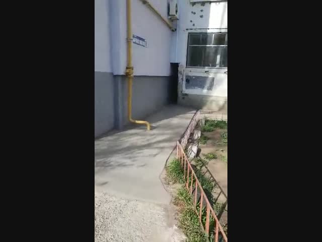 Арка не для всех