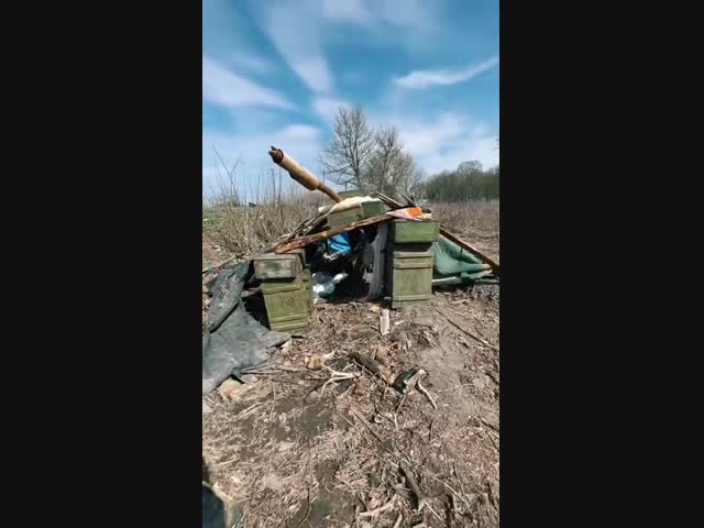 Где-то в лесах Намибии