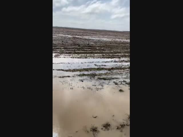 Сама природа против войны