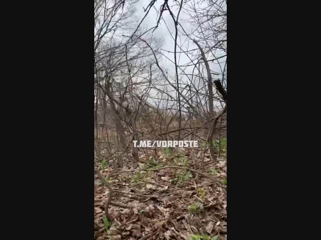 Дуэль гранатомётчика и танка