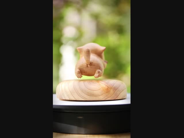 Летающая кошка на маглеве