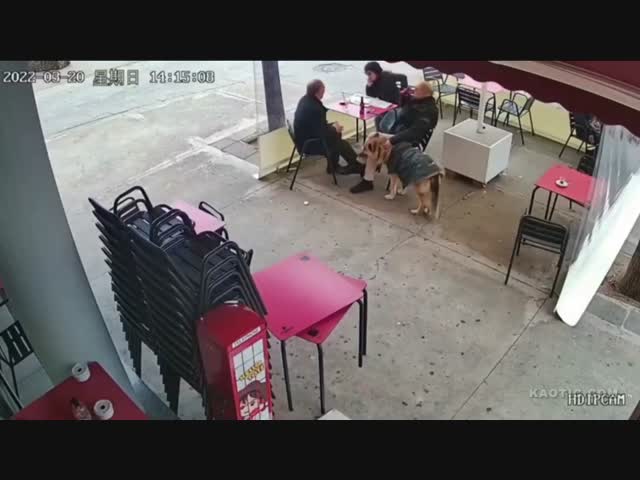 "Наркоман поди"