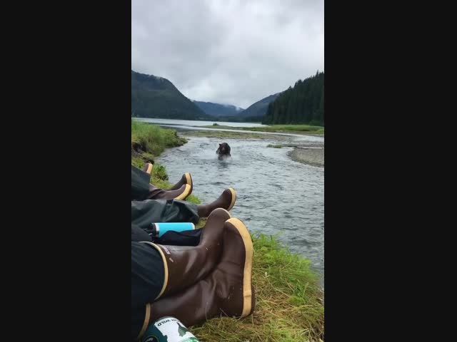 Просто пробегал мимо