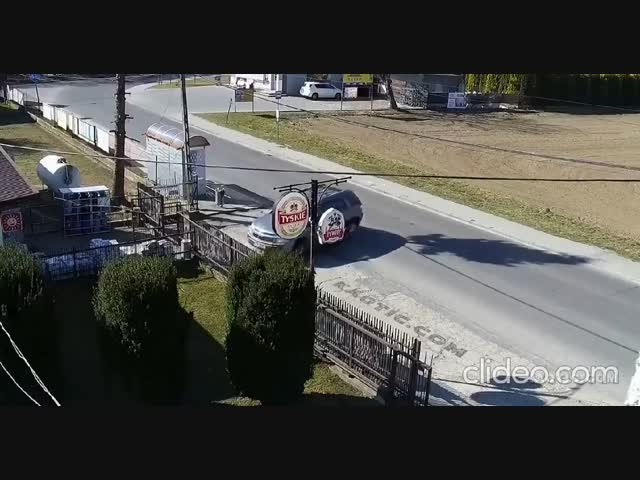 Права купил, мозги не купил