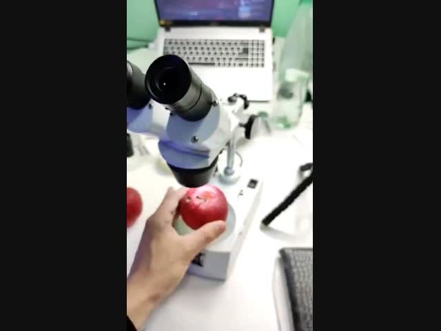 Яблочко не желаете?