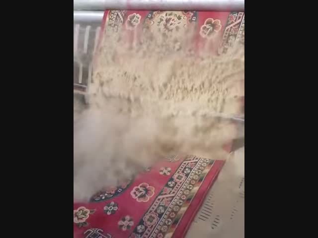 Очистка ковра после песчаной бури