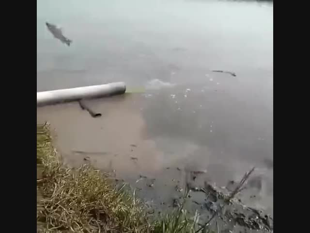 А что это за волшебная труба?