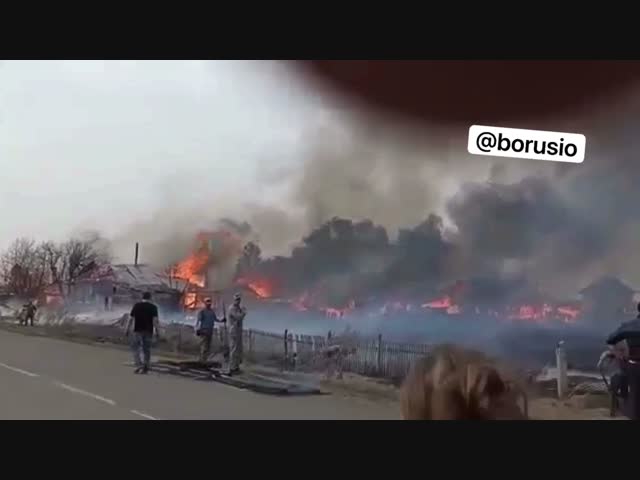 Пожар в Алтайском крае